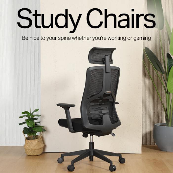 Ergonomic Adjustable Study Chairs for Students Comfort